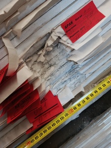 Саундлайн-Акустика 8/18 Поинт блочная, 4ПК, 2448x1224x12,5 мм (БР-ДОМ-71)